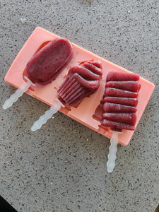 FROZEN TREAT MOULDS