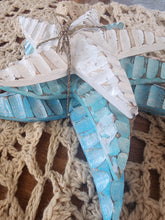 SWELL STARFISH SET