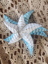 SWELL STARFISH SET