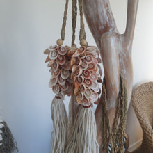 SPIRAL SHELL DROP