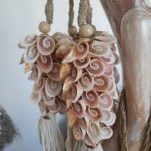 SPIRAL SHELL DROP