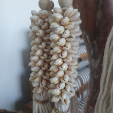 SEASHELL CLUSTER