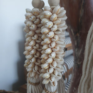 SEASHELL CLUSTER