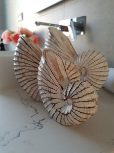 NAUTILUS WHITE WASHED