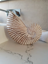 NAUTILUS WHITE WASHED