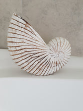 NAUTILUS WHITE WASHED