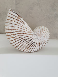 NAUTILUS WHITE WASHED