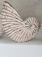 NAUTILUS WHITE WASHED
