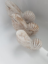NAUTILUS WHITE WASHED