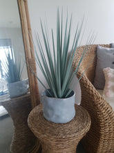 WAVES PLANTER
