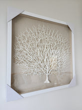 REEF CORAL FRAMED