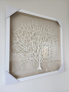 REEF CORAL FRAMED