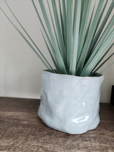 WAVES PLANTER