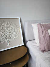 REEF CORAL FRAMED