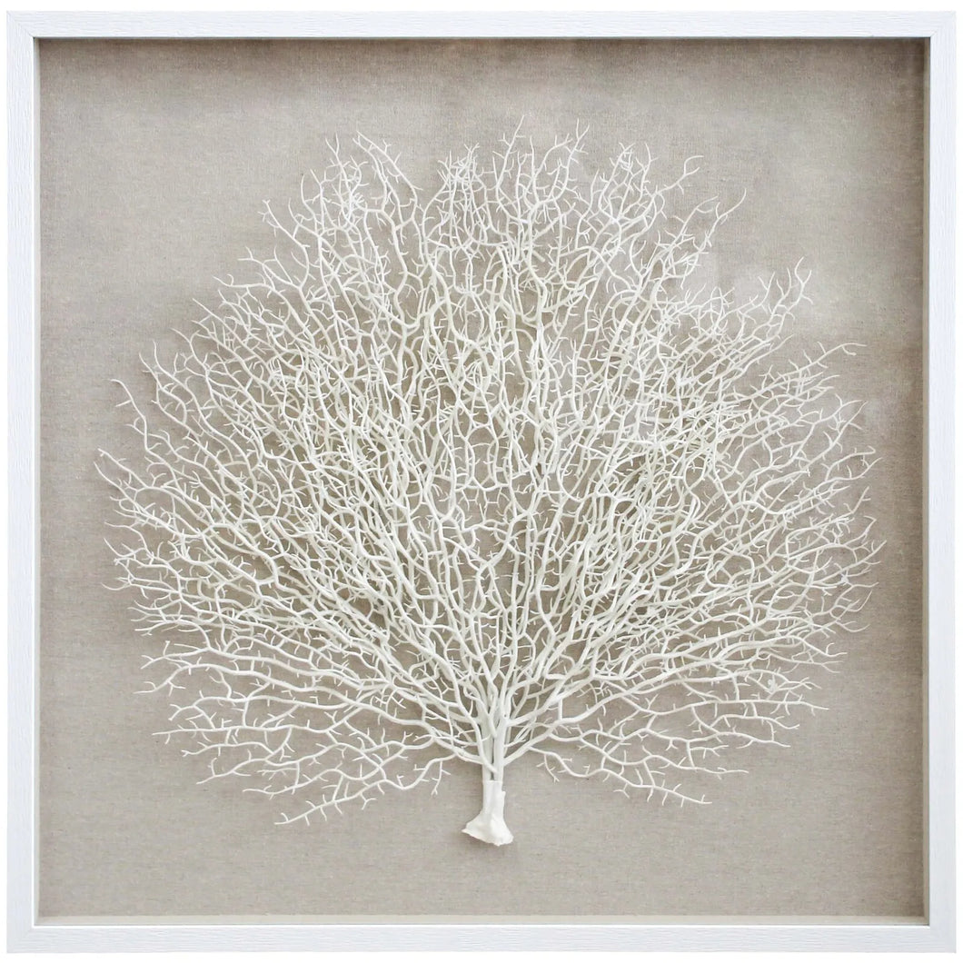 REEF CORAL FRAMED